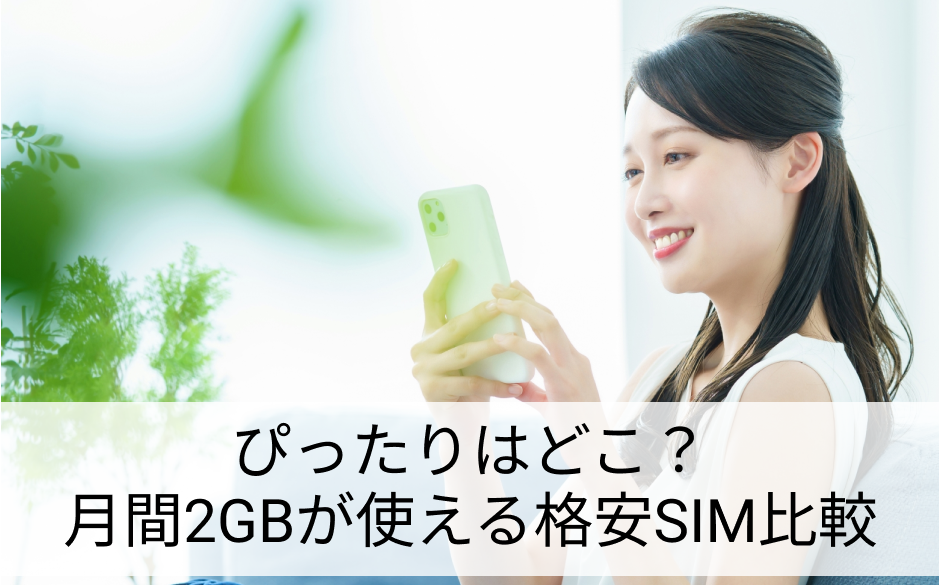 格安SIM 2GB 比較